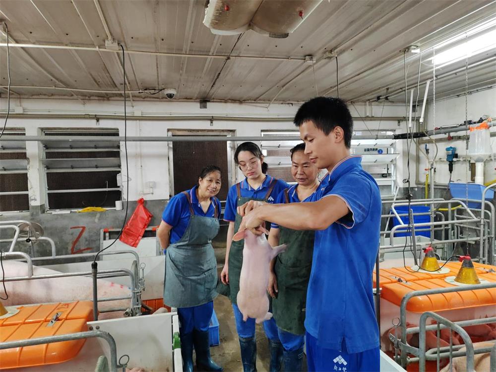 通宝TB888·官方网站