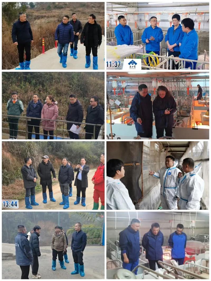 通宝TB888·官方网站