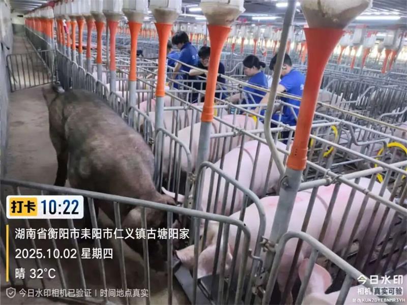 6942_看图王 通宝TB888·官方网站