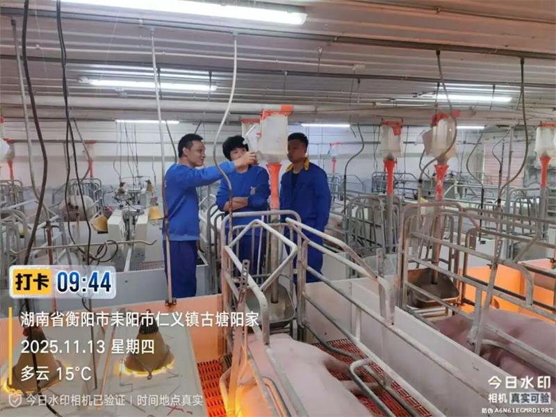 6943_看图王 通宝TB888·官方网站
