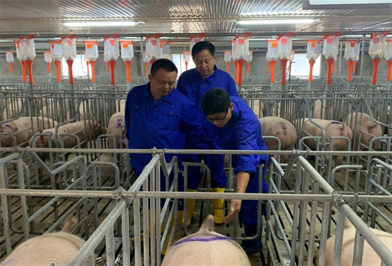 通宝TB888·官方网站