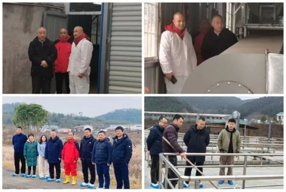 通宝TB888·官方网站